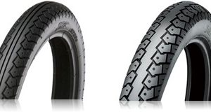 02191031_5304098a3700d